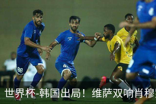 世界杯-韩国出局！维萨双响肖穆罗多夫神仙球 民主刚果3-1乌兹