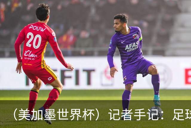 （美加墨世界杯）记者手记：足球世界，规则谁定？